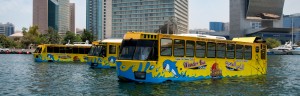 اتوبوس شگفت انگیز دبی ِdubai bus